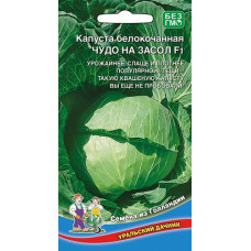 Капуста белокочанная Чудо на засол F1 (Уральский Дачник)