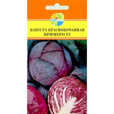 Капуста краснокочаннная Примеро F1 (Акварель)