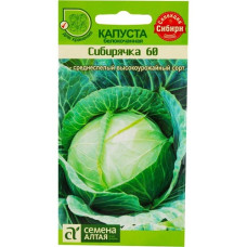 Капуста Сибирячка 60