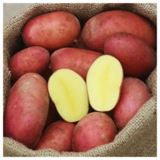 Картофель семенной Алуэт 2 кг