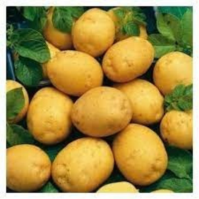 Картофель АМУЛЕТ 2 кг Картофель АМУЛЕТ 2 кг