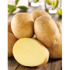 Картофель ИМПАЛА (Элита) 2 кг