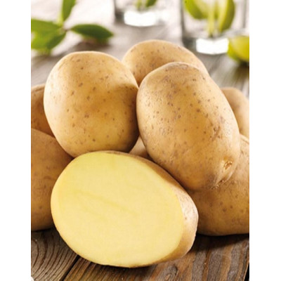 Картофель ИМПАЛА (Элита) 2 кг Картофель ИМПАЛА (Элита) 2 кг