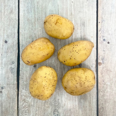 Картофель ЛИСАНА 2 кг Картофель ЛИСАНА 2 кг