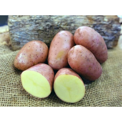 Картофель РЕД ЛЕДИ 2 кг