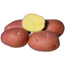 Картофель семенной КАРМЕН 2 кг