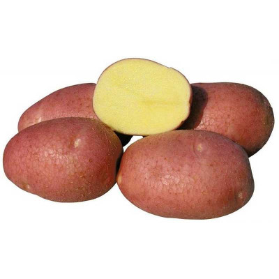Картофель семенной КАРМЕН 2 кг