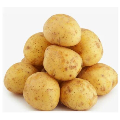 Картофель семенной КОЛОМБО 2 кг