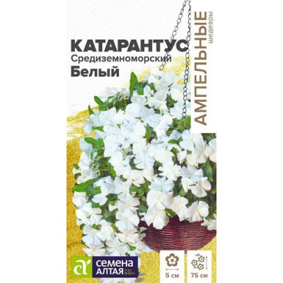 Катарантус Белый