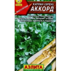 Катран Аккорд