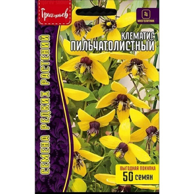 Клематис Пильчатолистный (Решение)