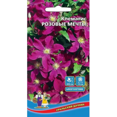 Клематис Розовые мечты