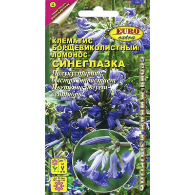 Клематис Синеглазка