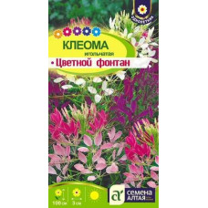 Клеома Цветной фонтан  
