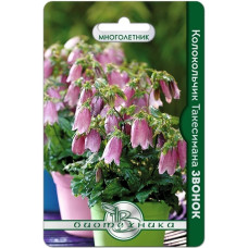 Колокольчик Звонок