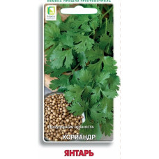 Кориандр (кинза) Янтарь