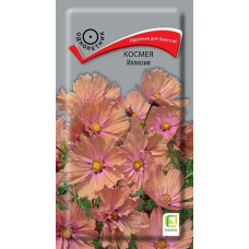 Космея Иллюзия (ЦВ) ("1)