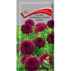 Космея махровая Кнопка Бордовая (Поиск)