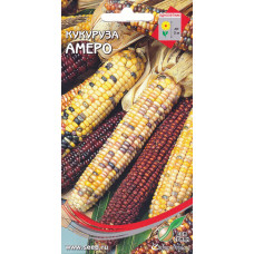 Кукуруза декоративная Амеро