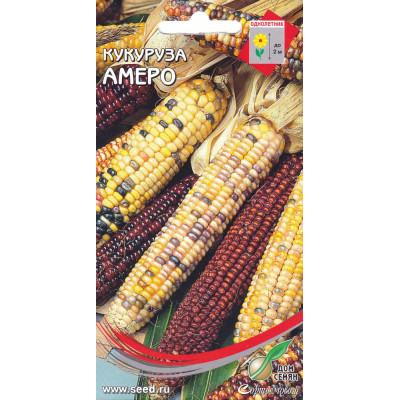 Кукуруза декоративная Амеро