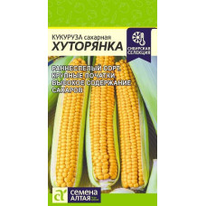 Кукуруза Хуторянка