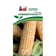Кукуруза КАМБЕРЛЭНД