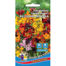 Цветы Лакфиоль Весенняя песенка (Уральский Дачник)