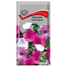 Лаватера Смесь окрасок (Поиск)