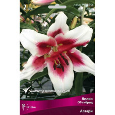 Лилия Алтари (ОТ-гибрид)