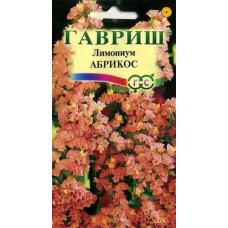 Кермек (Лимониум) выемчатый Абрикос