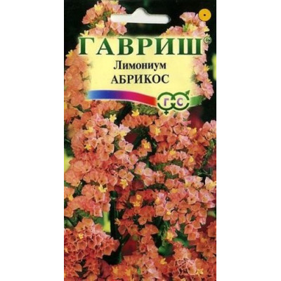 Кермек (Лимониум) выемчатый Абрикос