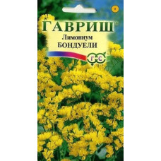 Кермек (Лимониум) выемчатый Бондуели