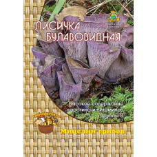 Лисичка булавовидная (60 мл)