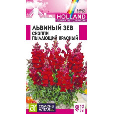 Львиный зев Снэппи Пылающий красный 