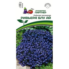 Лобелия каскадная РИВЬЕРА БЛУ АЙ 