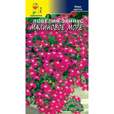 Лобелия Малиновое море (ЦС)
