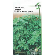 Любисток Амур