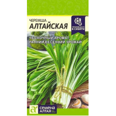 Лук Черемша алтайская