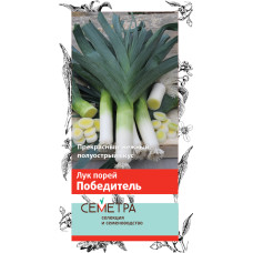 Лук порей Победитель 1гр. 
