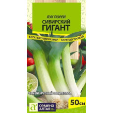 Лук Сибирский гигант порей 