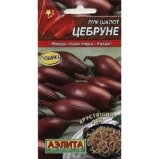 Лук шалот Цебруне