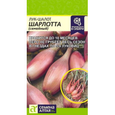 Лук Шарлотта шалот