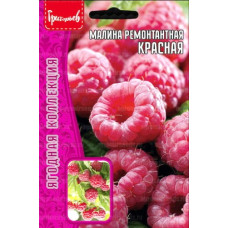 Малина Красная (Решение)