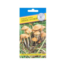 Опёнок луговой (12шт)