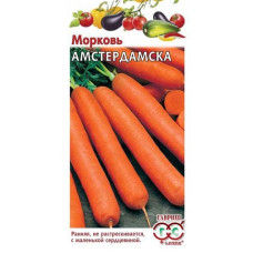 Морковь Амстердамска