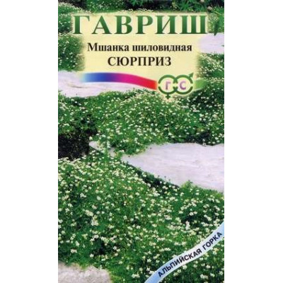 Мшанка шиловидная Сюрприз