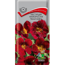 Настурция низкорослая Черный Трюфель  