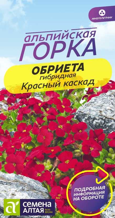 Обриета Красный каскад (Семена Алтая) купить с доставкой в интернет ...