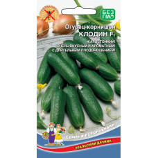 Огурец Клодин - корнишон  