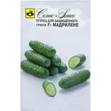 Огурец Мадрилене F1 